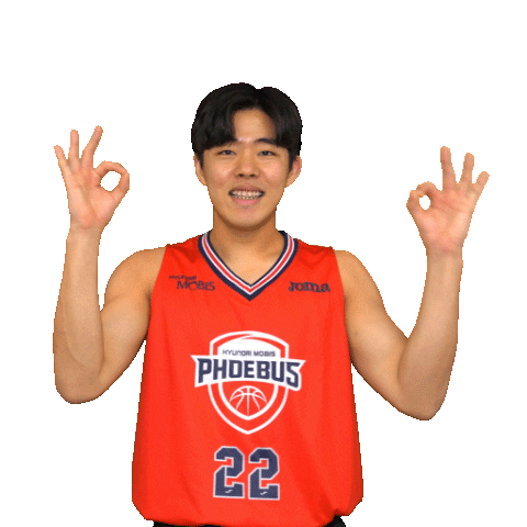 Basketball Ok Sticker by hyundaimobis