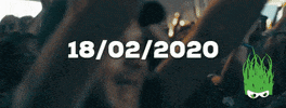 GIF by Festival_Dranouter