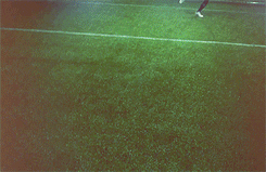 bastian schweinsteiger