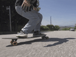Landyachtz GIF