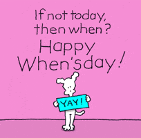 Happy Wednesday GIF by Chippy the Dog