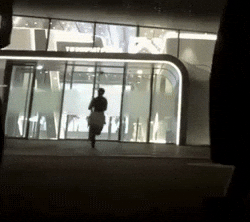 Door Smash GIF