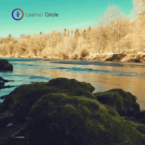 Stop Learn GIF by Learner Circle