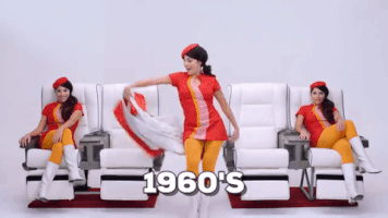 ffffitzy flight attendant GIF