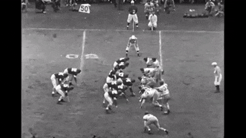 Northwestern Football GIF
