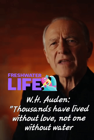 Wh Auden Thousands Have Lived Without Love GIF
