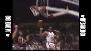 GIF by MSG Networks