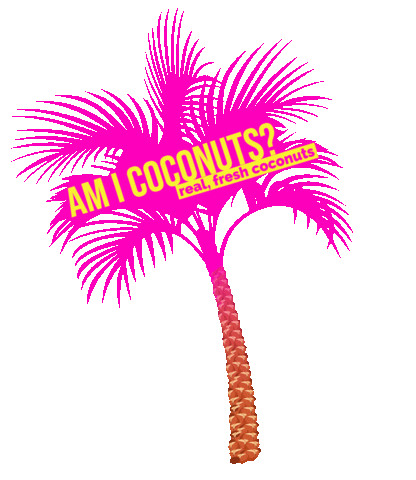 AMI Coconuts Sticker