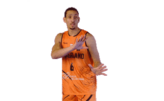 Basketball Nederland Sticker