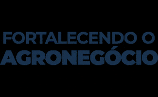 Avioeste GIF