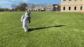 Milwaukee Wisconsin Soccer GIF by Cardinal Stritch University