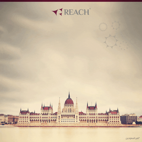 Reach Immigration GIF