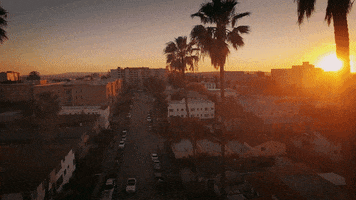 ZachBrandon vibes la california sunset GIF