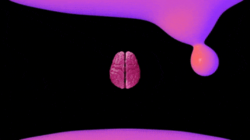Background GIF by Half Brain Toys