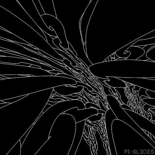 pislices loop trippy 3d black and white GIF