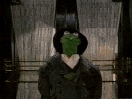 The Muppets Entrance GIF