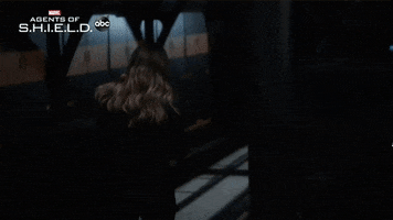 Agents Of Shield GIF