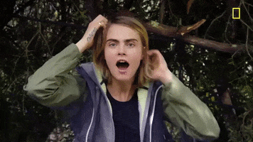 Cara Delevingne What GIF by National Geographic Channel