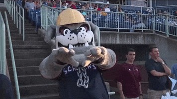 Scrappers GIF by The Hubbard Eagle