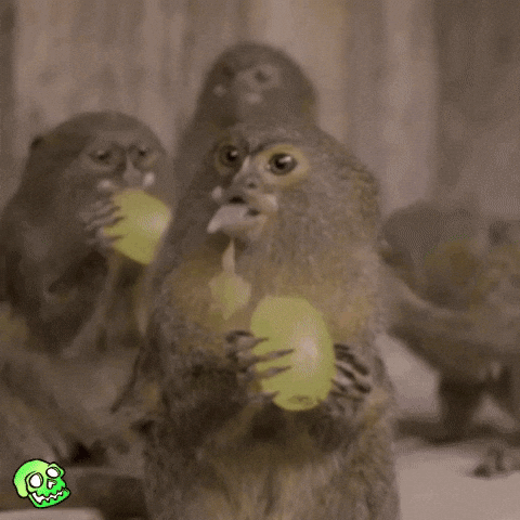 giphy.gif