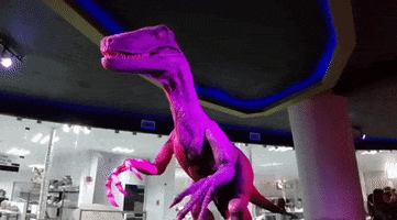 Museo Del Desierto GIF