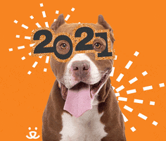 Save Them All New Year GIF by Best Friends Animal Society