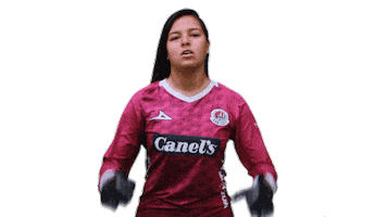 San Luis Soccer Sticker by Atlético de San Luis