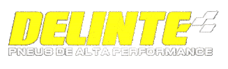 Delintebr Sticker by DELINTE - Pneus de Alta Performance