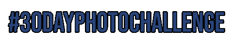 Vanessa Seregate Photography Sticker