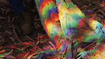 Art Rainbow GIF by Adam Ferriss