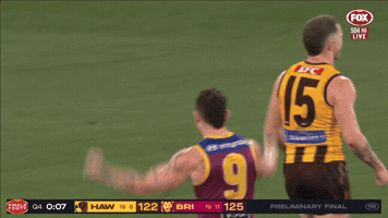 Brisbane Lions Winner GIF