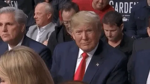 Donald Trump Thumbs Up GIF