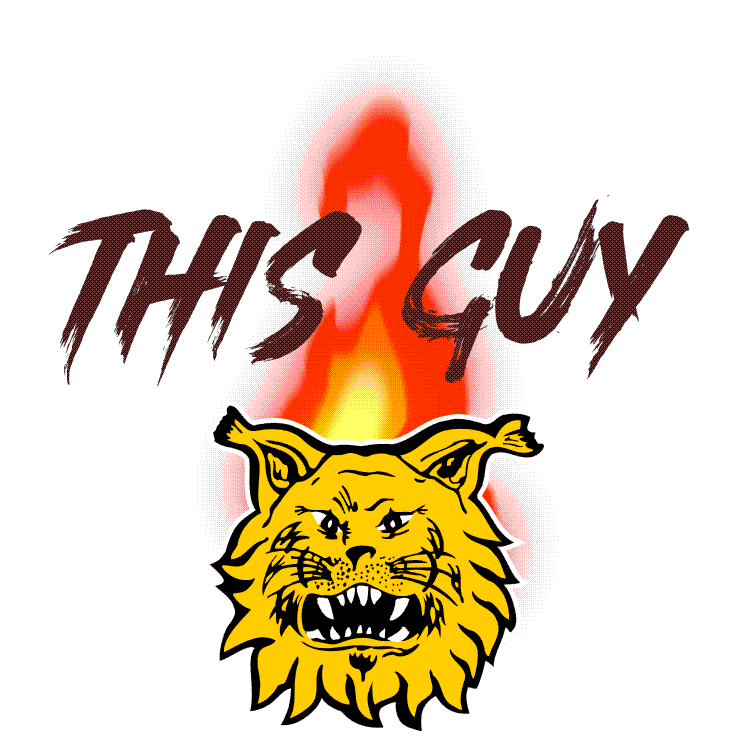 Ilves Fire Sticker by Ilves Hockey