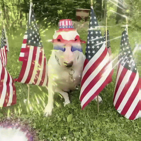 United States Usa GIF