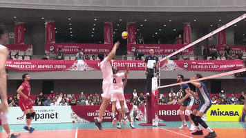Point Wow GIF by Volleyball World