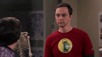 Big Bang Theory GIF