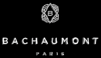 hotelbachaumont GIF