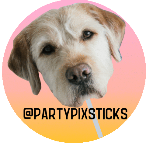 Party Pix Sticks Sticker