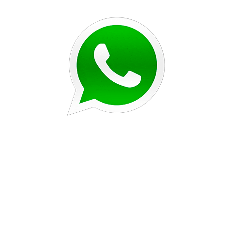 SpringStore Sticker