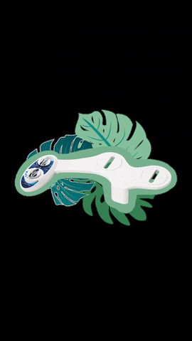 LuxeBidet GIF