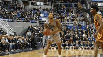 NevadaWolfPack college basketball nevada wolf pack unr GIF