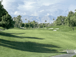 Craig Spiesman GIF