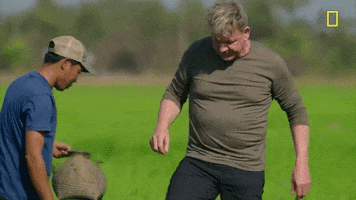 Gordon Ramsay Swat GIF by National Geographic Channel