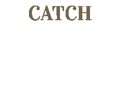 Food Fish Sticker by TheSeafoodBar