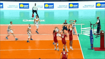 Save France GIF by Volleyball World