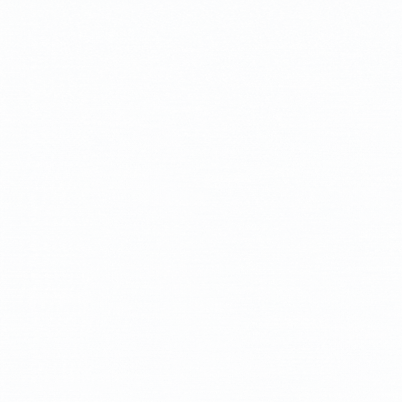 Susie Lee GIF
