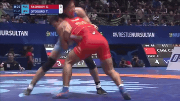 Wrestling GIF