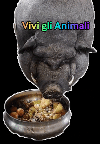 vivi gli animali GIF
