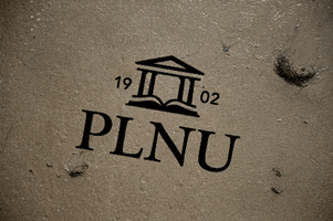 PLNU logo sand wash plnu GIF