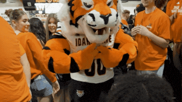 Football Mascot GIF by Idaho State University